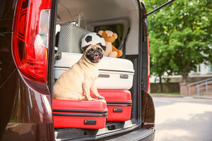 packing your moving day traveling car
